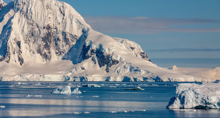 FAO Report Highlights Antarctic Krill Fishery’s Sustainability, Strong Management